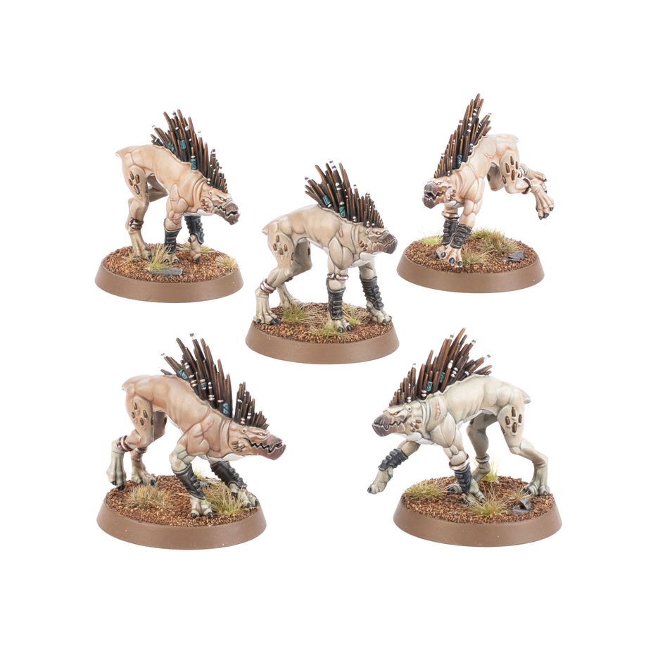 Warhammer 40,000: T'au Empire - Kroot Hounds - PRE-ORDER 25th MAY