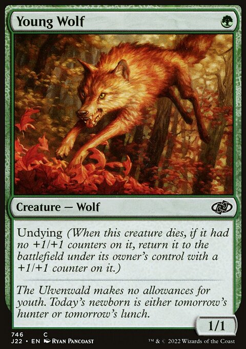 Young Wolf [Jumpstart 2022]