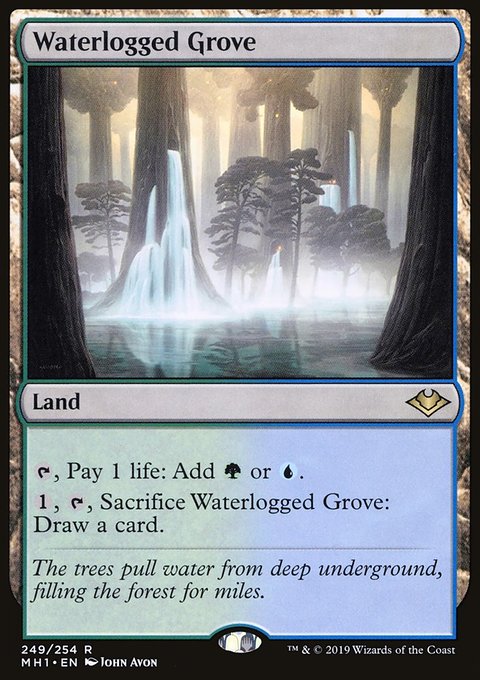 Waterlogged Grove [Modern Horizons]