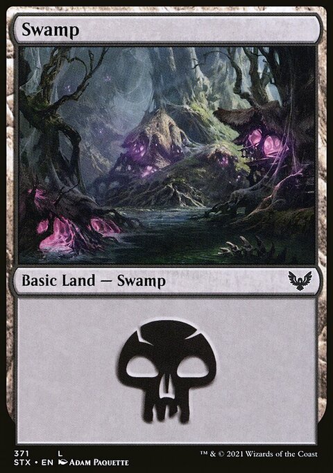 Swamp (371) [Strixhaven: School of Mages]