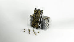 Gamers Grass - Laser Plants: Agave