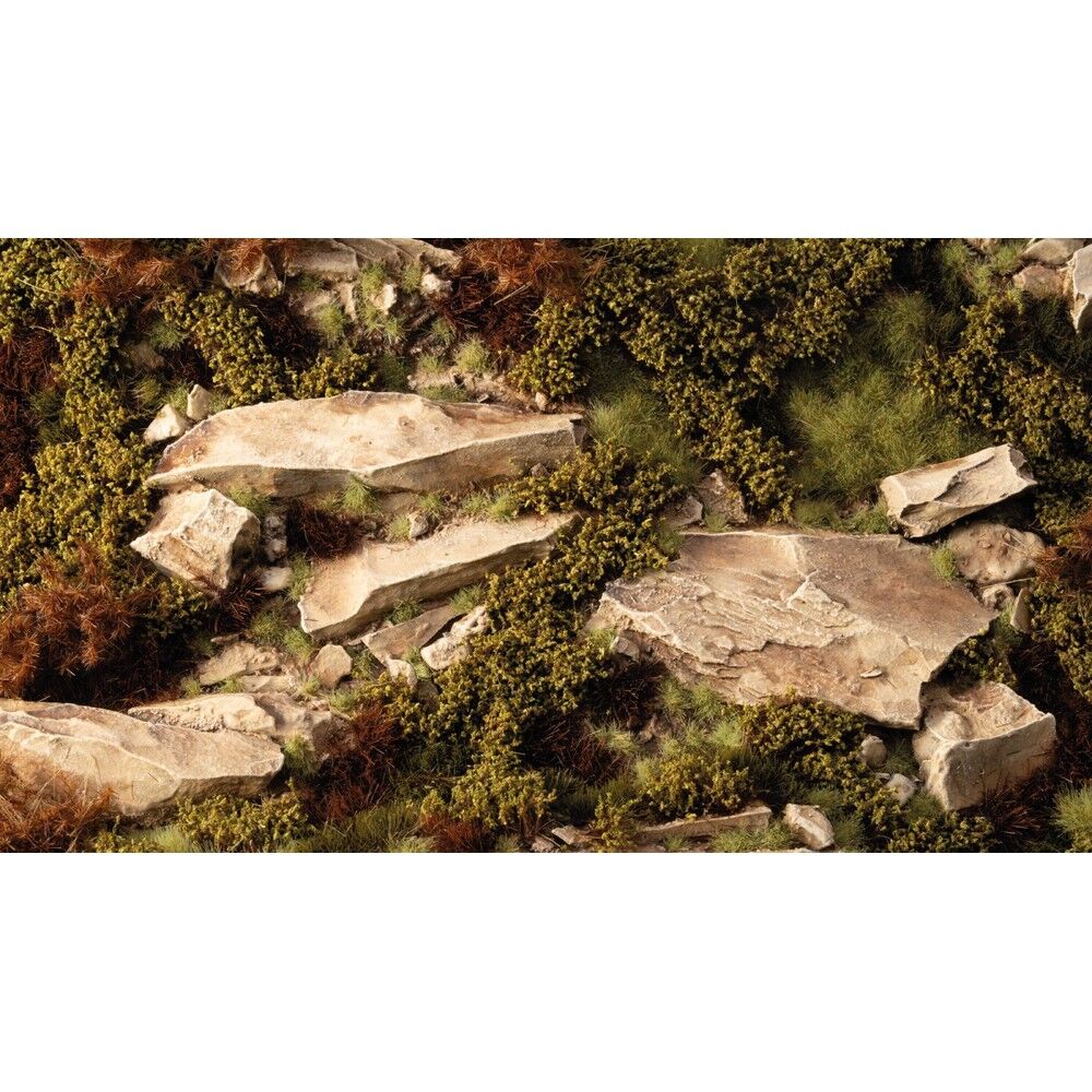 Gamers Grass: Flowers: Dry Green Shrubs