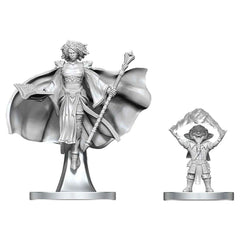 D&D Nolzur's Marvelous Miniatures: Gnome Warlock & Aasimar Wizard