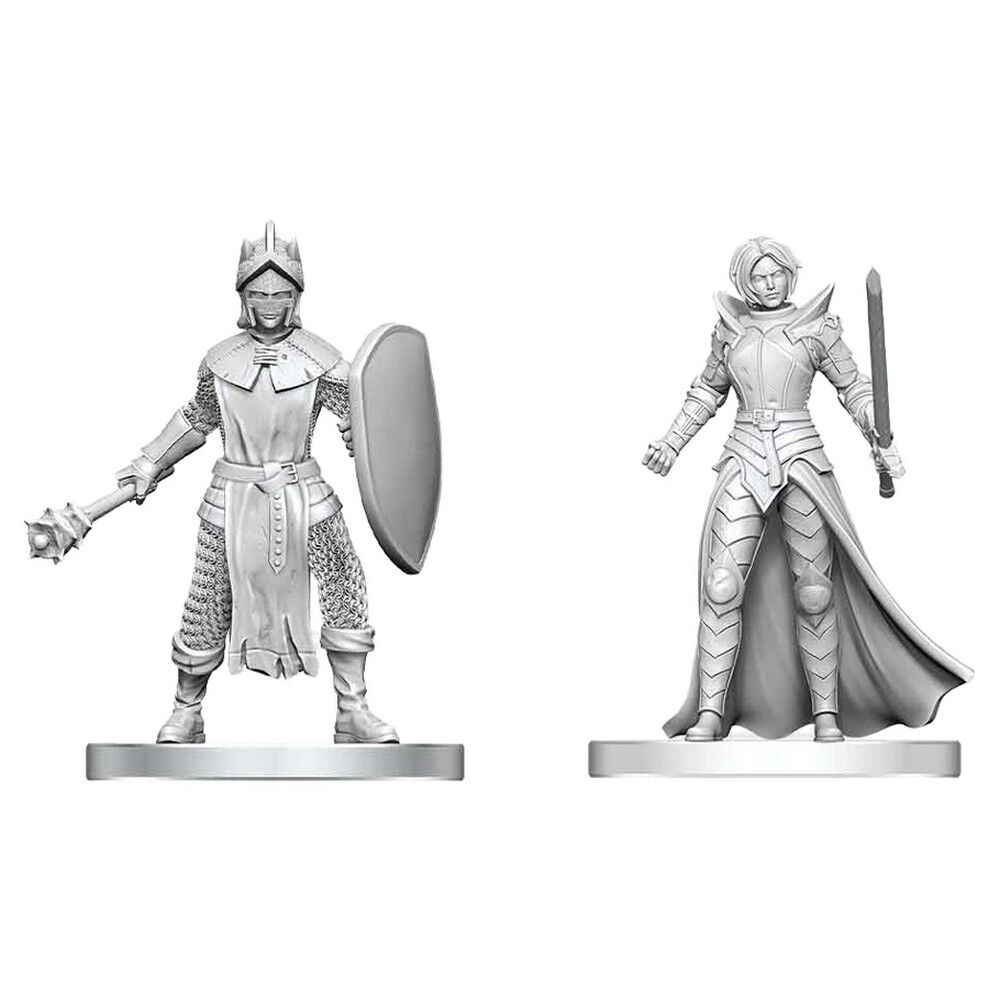 D&D Nolzur's Marvelous Miniatures: Black Gauntlet & Zhentilar Paladin of Bane