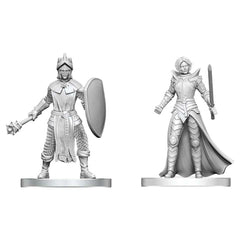D&D Nolzur's Marvelous Miniatures: Black Gauntlet & Zhentilar Paladin of Bane