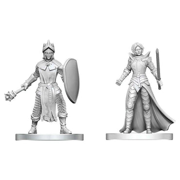 D&D Nolzur's Marvelous Miniatures: Black Gauntlet & Zhentilar Paladin of Bane