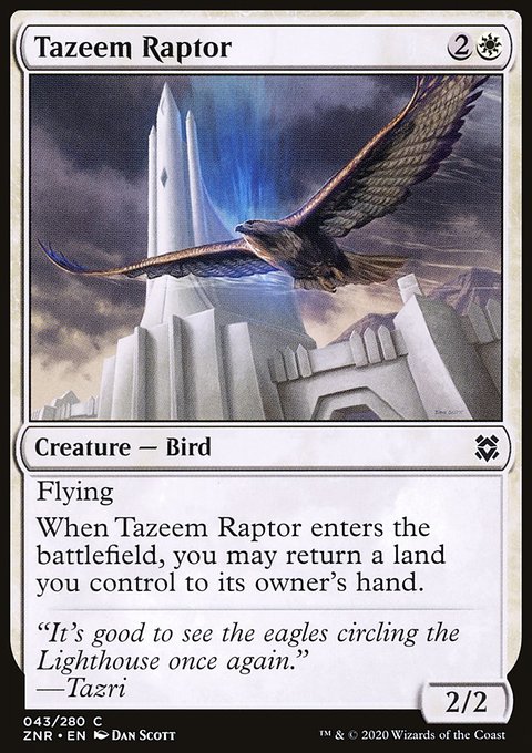 Tazeem Raptor [Zendikar Rising]