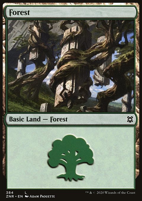 Forest (384) [Zendikar Rising]