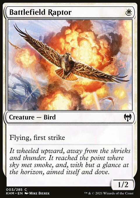 Battlefield Raptor [Kaldheim]