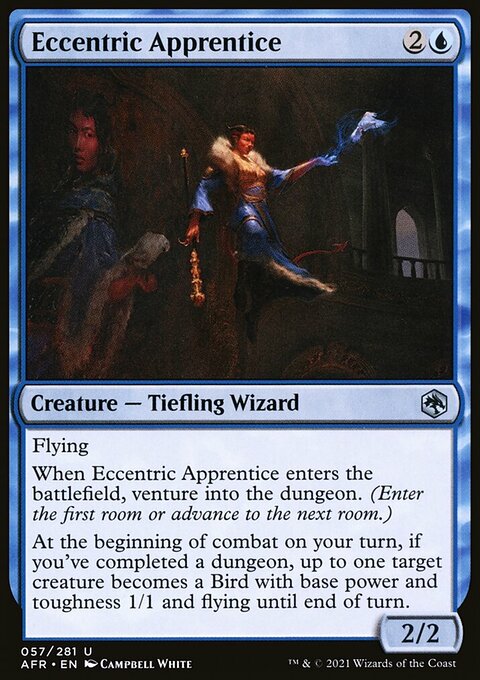 Eccentric Apprentice [Dungeons & Dragons: Adventures in the Forgotten Realms]