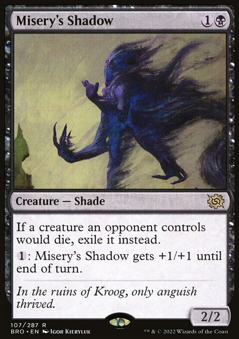 Misery's Shadow [The Brothers' War]