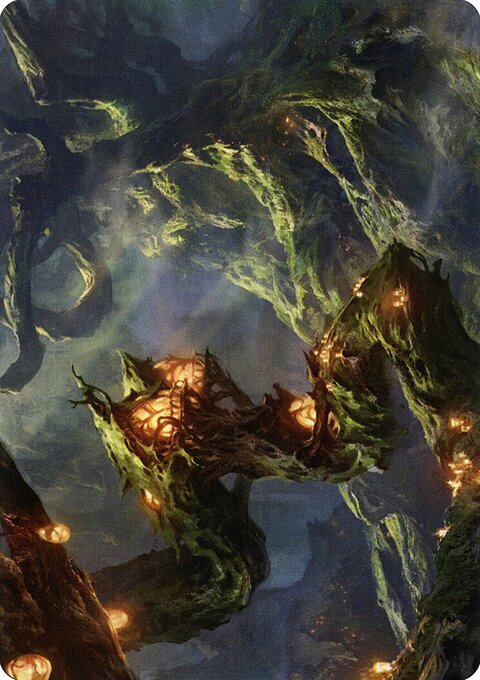 Forest Art Card (Gold-Stamped Signature) [Strixhaven: School of Mages Art Series]