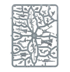 Warhammer 40,000: Aeldari: Rangers