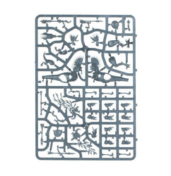 Age of Sigmar: Seraphon: Raptadon Hunters