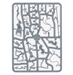 Warhammer Age of Sigmar: Daughters of Khaine - Witch Aelves