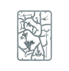 Warhammer Age of Sigmar: Lumineth Realm-Lords Scinari Enlightener