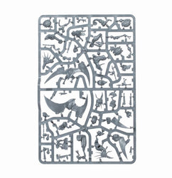 Age of Sigmar: Seraphon: Hunters of Huanchi - Local Pick up Only