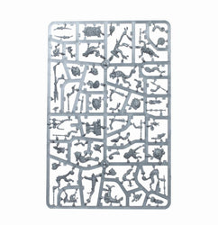 Age of Sigmar: Seraphon: Hunters of Huanchi - Local Pick up Only