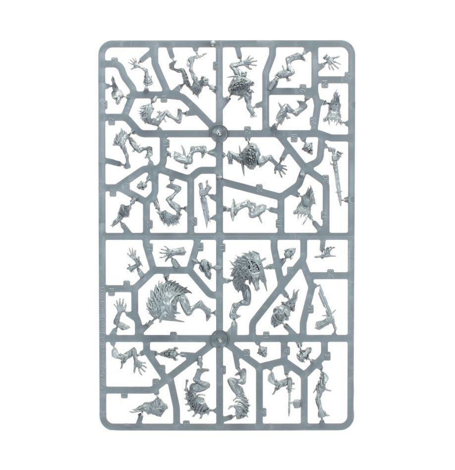 Age of Sigmar:  Warcry: Royal Beastflayers Warband