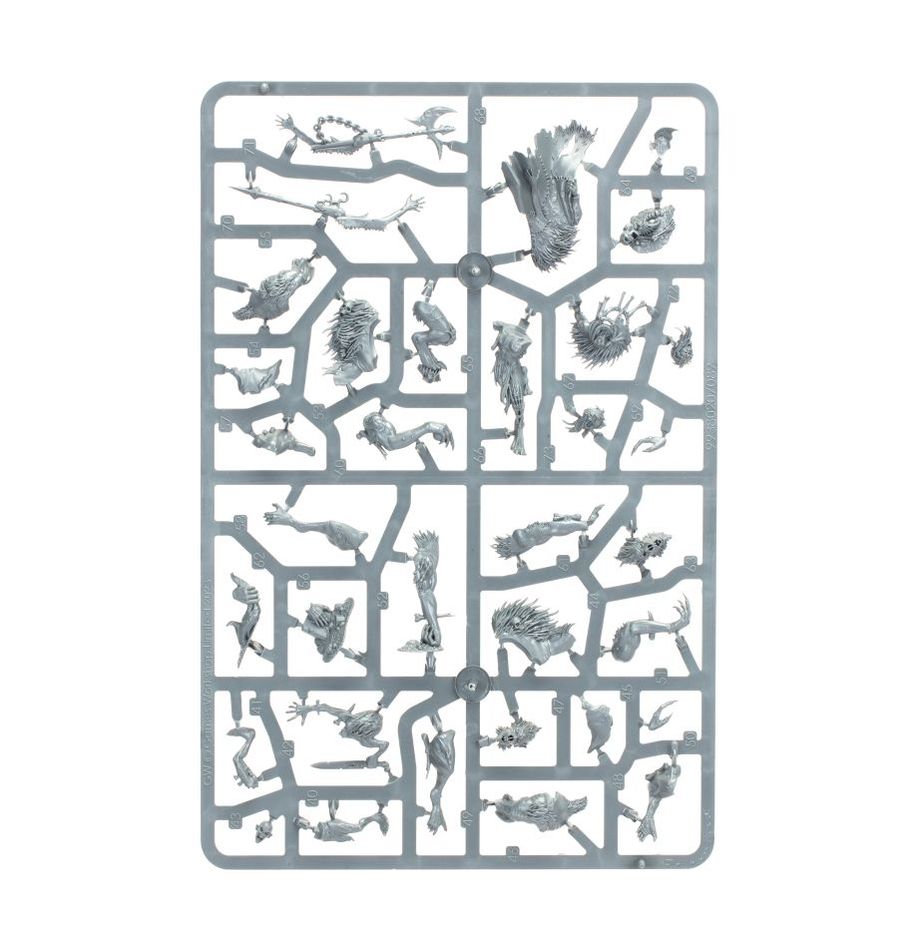 Age of Sigmar:  Warcry: Royal Beastflayers Warband