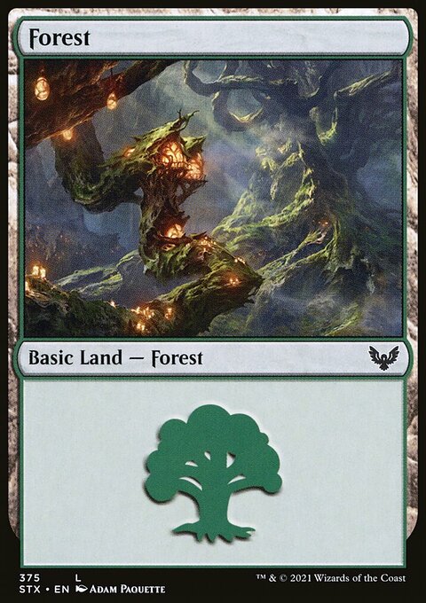 Forest (375) [Strixhaven: School of Mages]