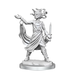 D&D Frameworks Medusa