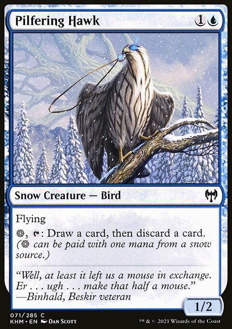 Pilfering Hawk [Kaldheim]