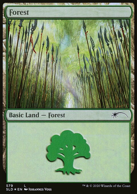 Forest (Elves) (579) [Secret Lair Drop Promos]