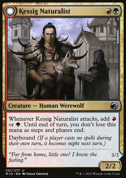 Kessig Naturalist // Lord of the Ulvenwald [Innistrad: Midnight Hunt]