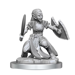 D&D Nolzurs Marvelous Miniatures Shifter Fighter