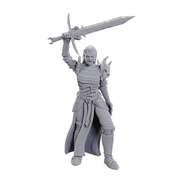 D&D Nolzur's Marvelous Miniatures: Blackguard