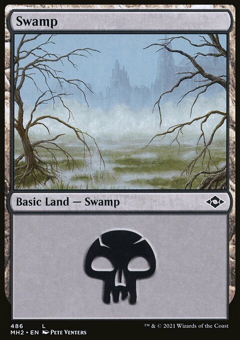 Swamp (486) (Foil Etched) [Modern Horizons 2]