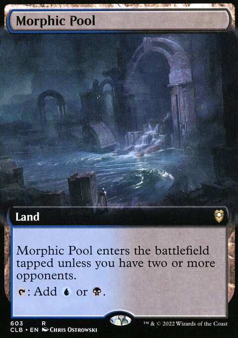 Morphic Pool (Extended Art) [Commander Legends: Battle for Baldur's Gate]