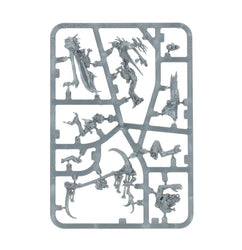 Age of Sigmar: Flesh-eater Courts: Marrowscroll Herald Local Pick-Up Only