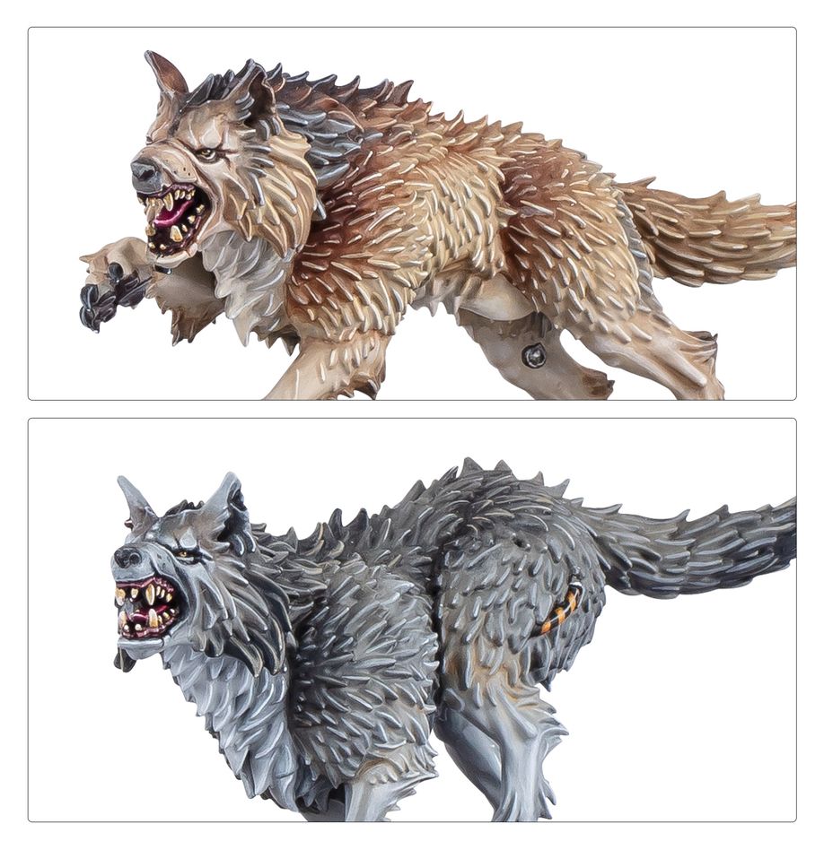 Warhammer 40,000: Space Wolves: Wolf Guard Headtakers