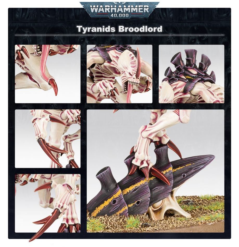 Warhammer 40,000: Tyranids: Broodlord