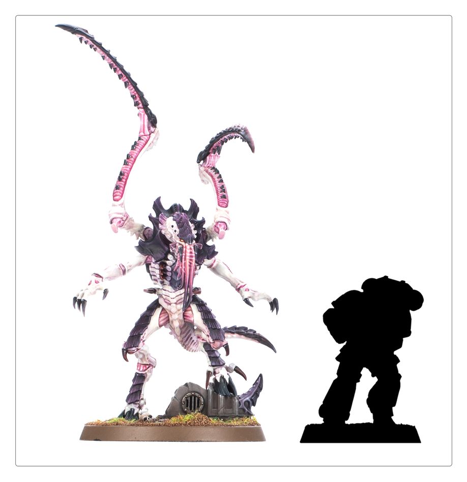 Warhammer 40,000: Tyranids: Lictor