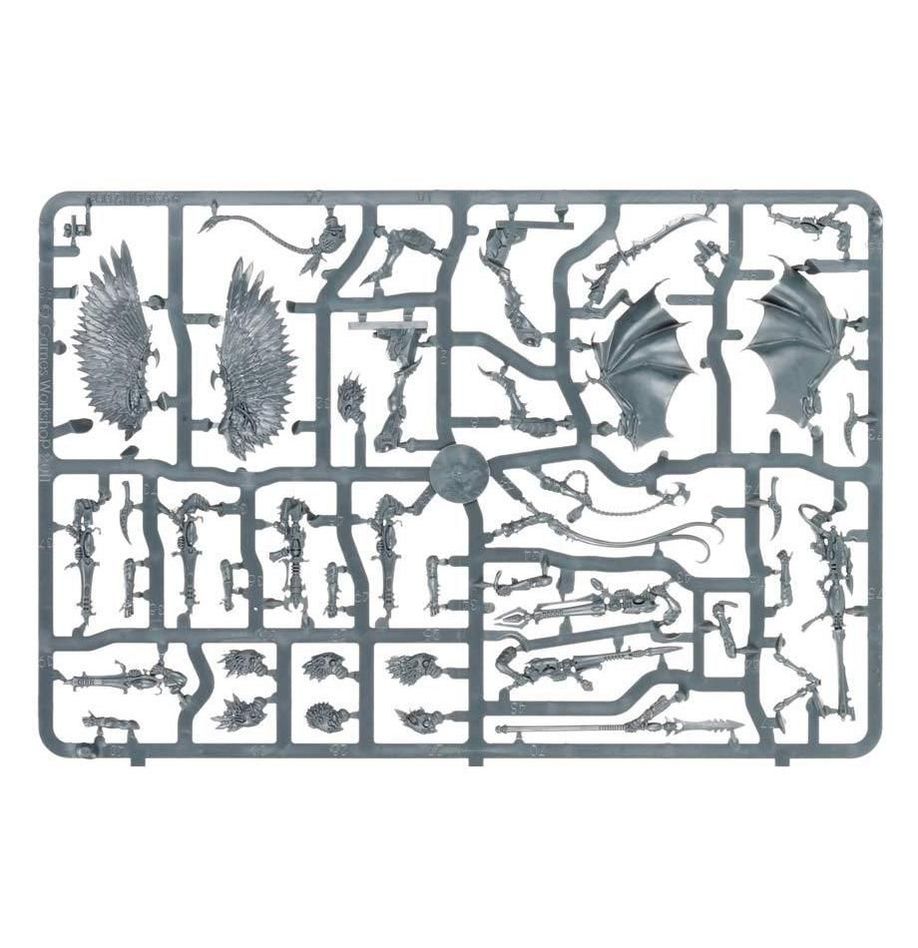 Warhammer 40,000: Drukhari Scourges 2021