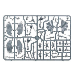 Warhammer 40,000: Drukhari Scourges 2021