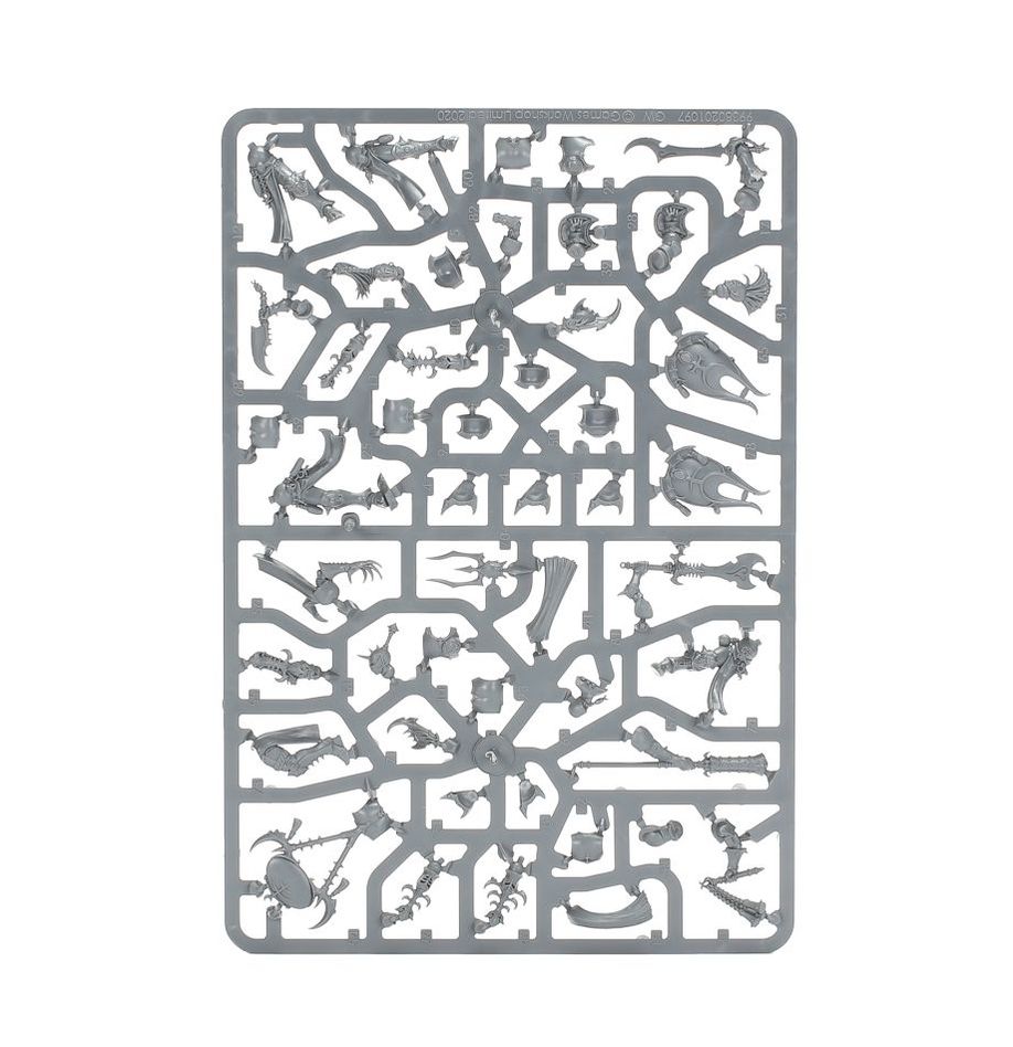 Age of Sigmar: Hedonites of Slaanesh: Painbringers