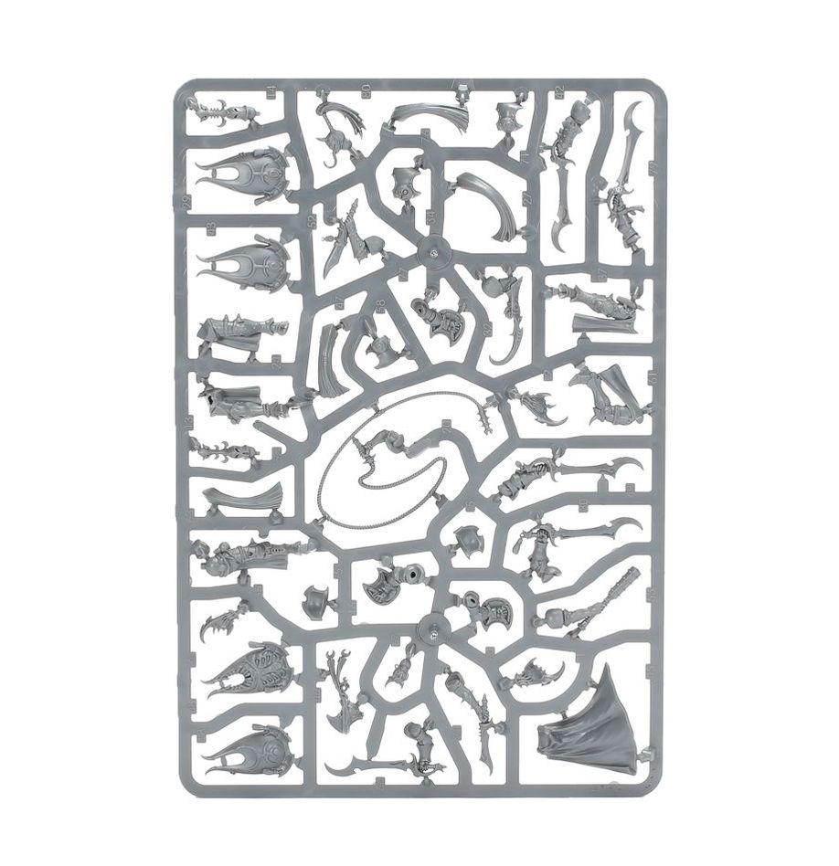 Age of Sigmar: Hedonites of Slaanesh: Painbringers