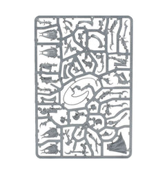 Age of Sigmar: Hedonites of Slaanesh: Painbringers