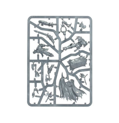 Age of Sigmar: Slaves to Darkness: Exalted Hero of Chaos