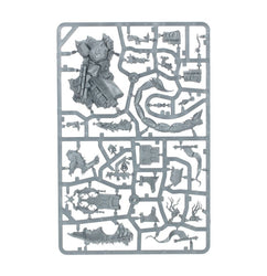 Age of Sigmar: Cities of Sigmar: Tahlia Vedra Lioness