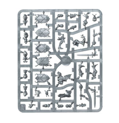 Age of Sigmar: Cities of Sigmar: Freeguild Gallants