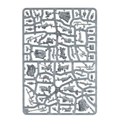 Age of Sigmar: Cities of Sigmar: Freeguild Grenadiers