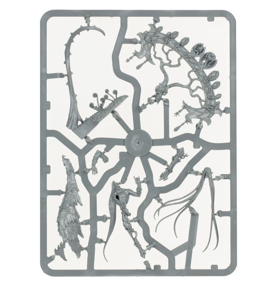 Age of Sigmar: Sylvaneth: Warsong Revenant