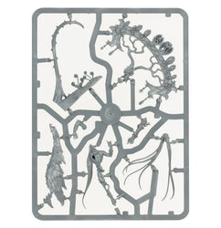 Age of Sigmar: Sylvaneth: Warsong Revenant