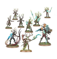 Warhammer Age of Sigmar: Regiment of Renown: The Twisted Branch