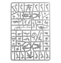 Age of Sigmar: Regiment of Renown: Drekki's Privateers